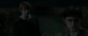 RdM1-Potterish2539.jpg