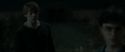 RdM1-Potterish2540.jpg