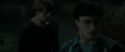 RdM1-Potterish2543.jpg