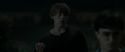 RdM1-Potterish2548.jpg