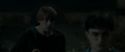 RdM1-Potterish2551.jpg