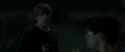 RdM1-Potterish2554.jpg