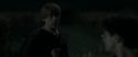 RdM1-Potterish2556.jpg