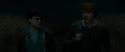 RdM1-Potterish2571.jpg