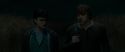 RdM1-Potterish2572.jpg