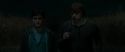 RdM1-Potterish2581.jpg