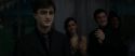 RdM1-Potterish3236.jpg