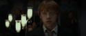 RdM1-Potterish3266.jpg