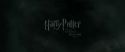 RdM1-Potterish328.jpg