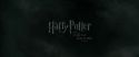 RdM1-Potterish329.jpg