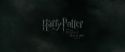 RdM1-Potterish330.jpg