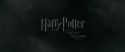 RdM1-Potterish331.jpg