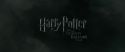 RdM1-Potterish332.jpg