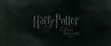 RdM1-Potterish333.jpg