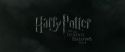 RdM1-Potterish334.jpg