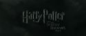 RdM1-Potterish335.jpg