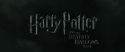 RdM1-Potterish336.jpg