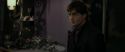 RdM1-Potterish3444.jpg