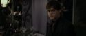RdM1-Potterish3469.jpg