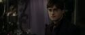 RdM1-Potterish3488.jpg