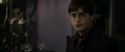 RdM1-Potterish3491.jpg