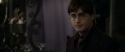RdM1-Potterish3495.jpg
