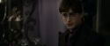 RdM1-Potterish3496.jpg