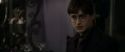 RdM1-Potterish3497.jpg