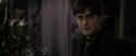 RdM1-Potterish3503.jpg