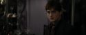 RdM1-Potterish3514.jpg