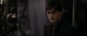RdM1-Potterish3516.jpg