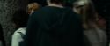 RdM1-Potterish3671.jpg