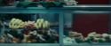 RdM1-Potterish3851.jpg
