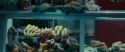 RdM1-Potterish3852.jpg