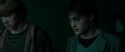 RdM1-Potterish3904.jpg