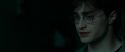 RdM1-Potterish3914.jpg
