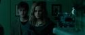 RdM1-Potterish3962.jpg