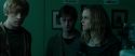 RdM1-Potterish3972.jpg