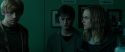 RdM1-Potterish3973.jpg