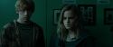 RdM1-Potterish3977.jpg