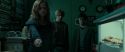 RdM1-Potterish3993.jpg