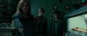 RdM1-Potterish4005.jpg