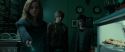 RdM1-Potterish4006.jpg