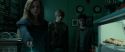 RdM1-Potterish4007.jpg