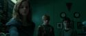 RdM1-Potterish4022.jpg