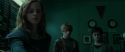 RdM1-Potterish4026.jpg