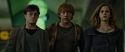 RdM1-Potterish4087.jpg
