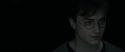RdM1-Potterish4377.jpg