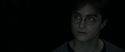 RdM1-Potterish4379.jpg