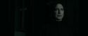 RdM1-Potterish438.jpg